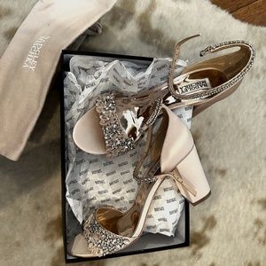 Badgley Mischka Blush Finesse Ankle Strap Evening Shoe